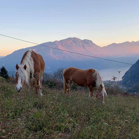 Hotel Cristina Tenno Dış mekan fotoğraf
