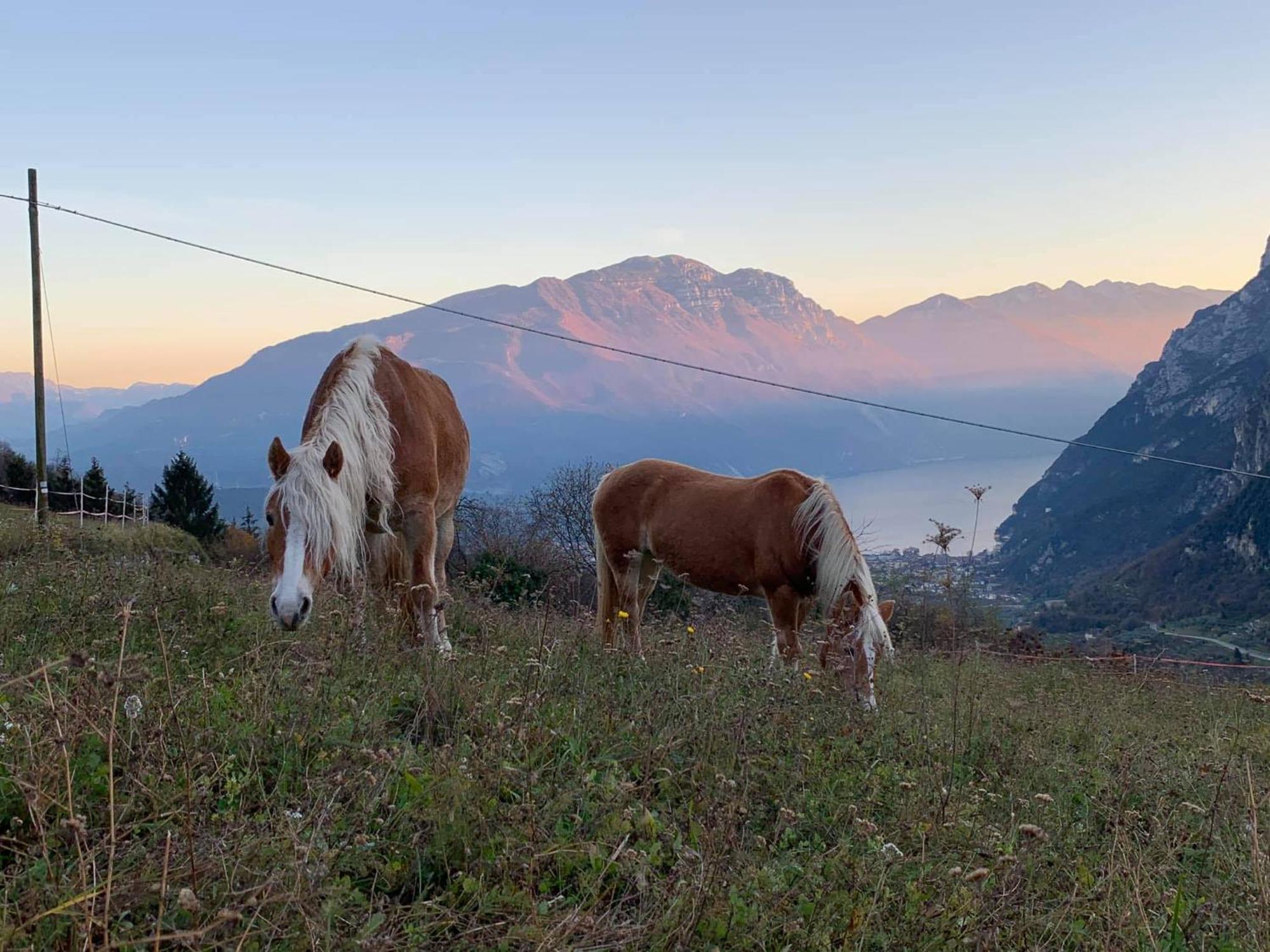 Hotel Cristina Tenno Dış mekan fotoğraf